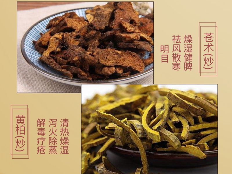 濟(jì)森堂二妙丸